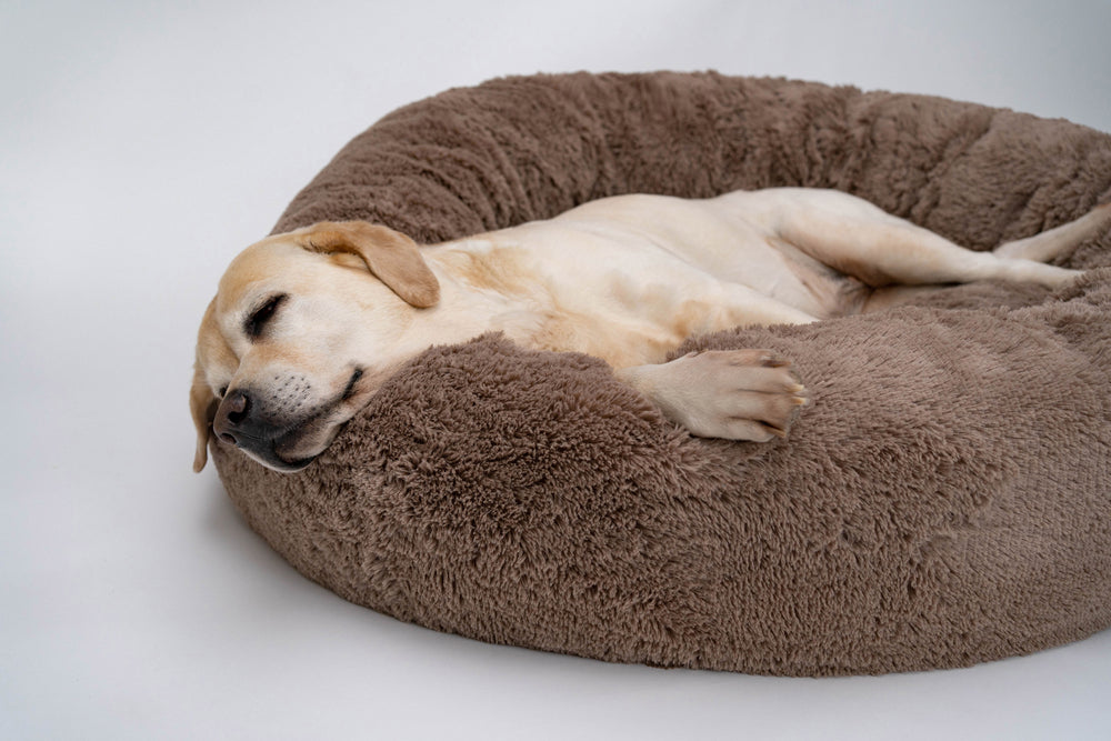 ペット用品犬用ベッド  犬小屋  人間サイズの大型犬用   ベッド犬の贈り物